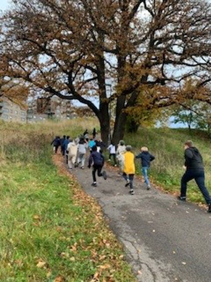 en gruppe mennesker som går på en sti med trær på hver side