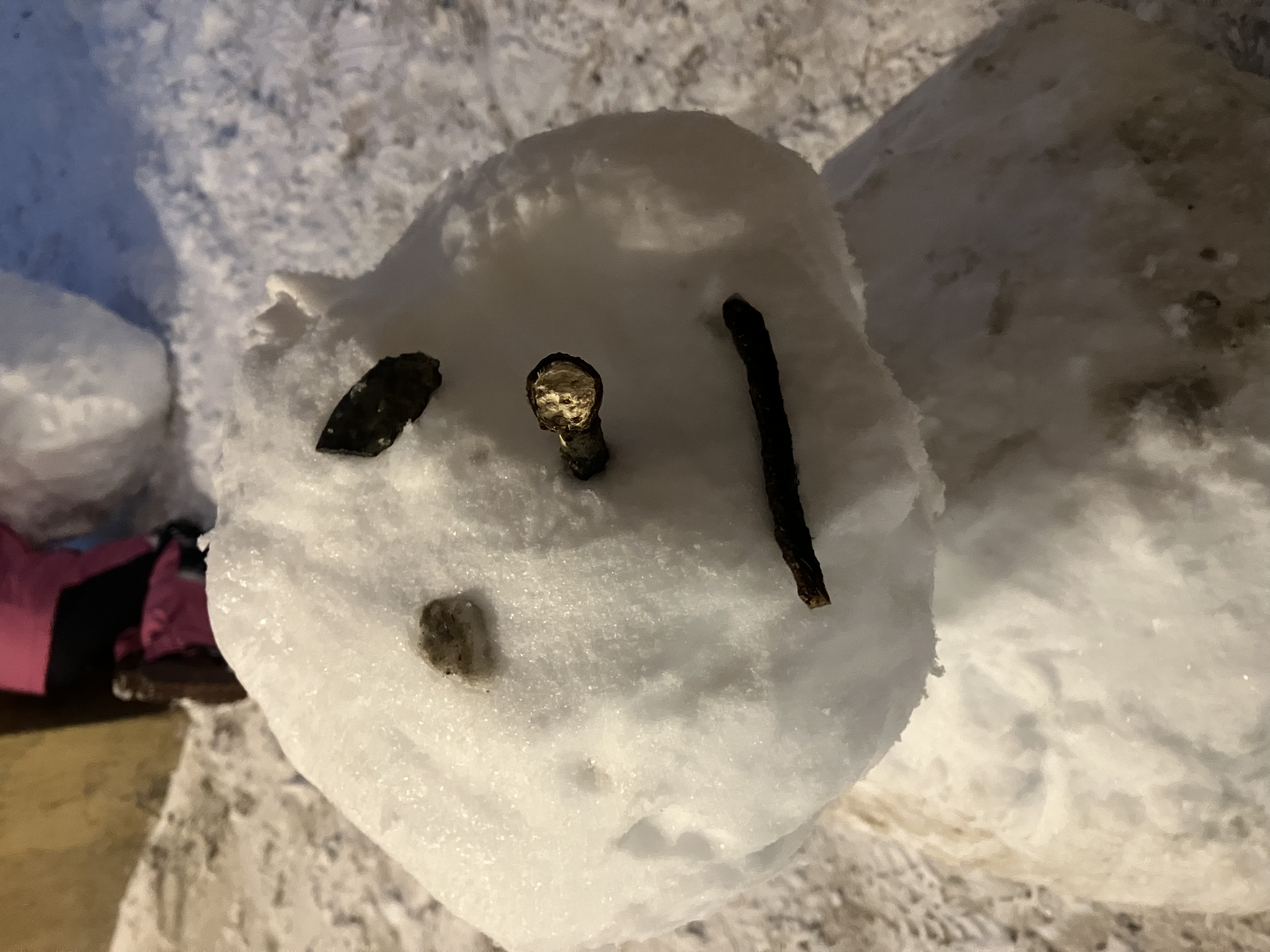 en snøperson med et ansikt