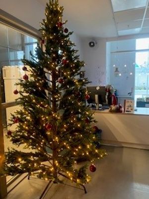 Et juletre i et rom