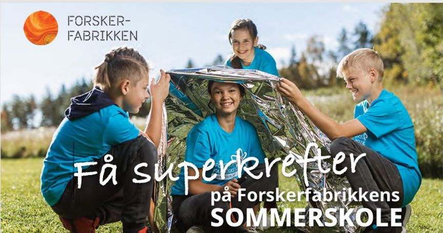 en gruppe barn som spiller basketball